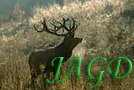 jagd